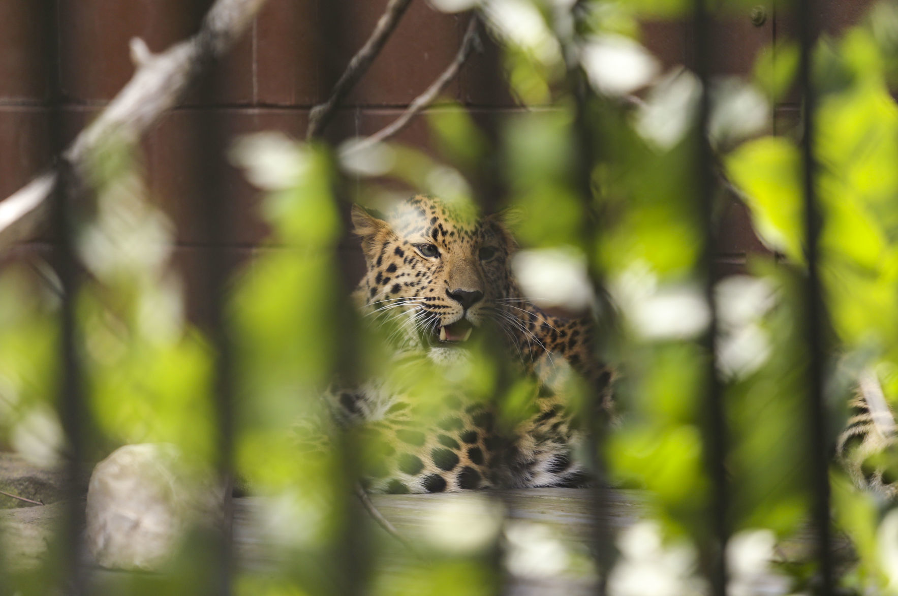 091119-mda-nws-zoobaby-018